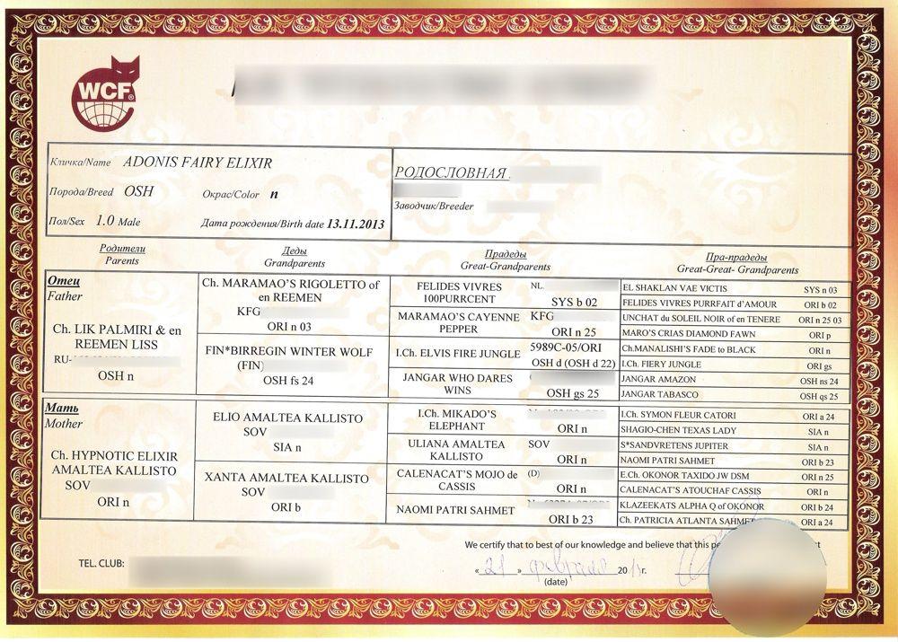 Pedigree of Adonis Fairy Elixir