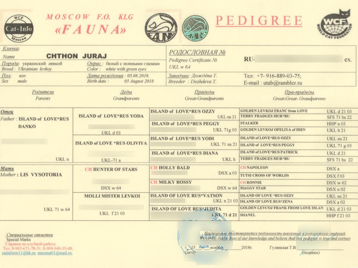 Juraj pedigree