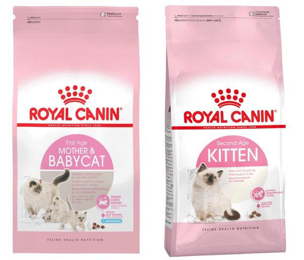 Royal Canin for kittens